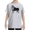Youth DRI-POWER® ACTIVE T-Shirt Thumbnail